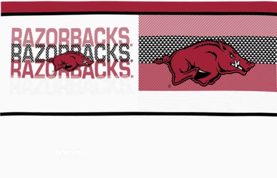 Arkansas Razorbacks - Competitor