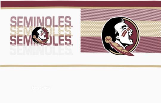 Florida State Seminoles - Competitor