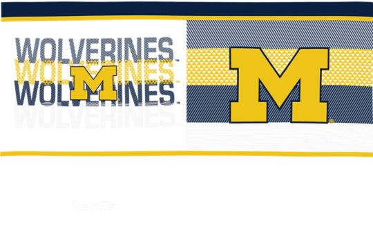 Michigan Wolverines - Competitor