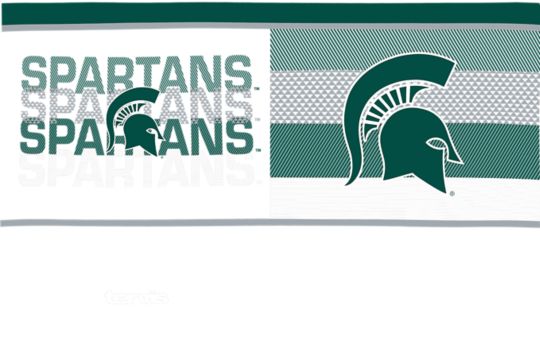 Michigan State Spartans - Competitor
