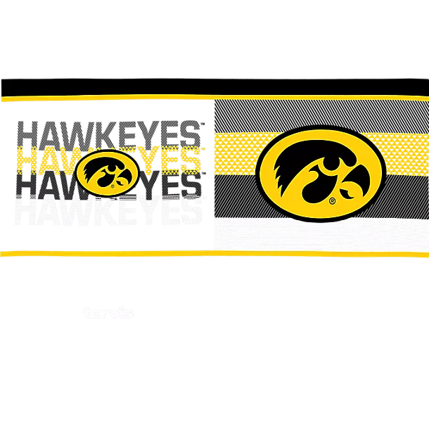 Iowa Hawkeyes - Competitor