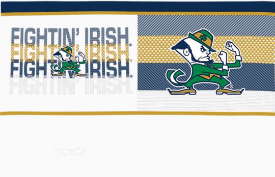 Notre Dame Fighting Irish - Competitor