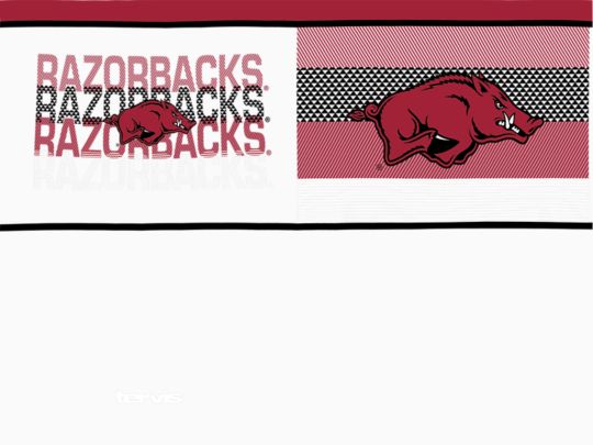 Arkansas Razorbacks - Competitor