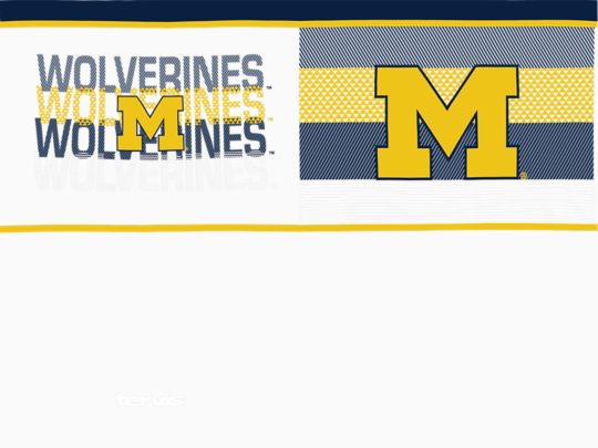 Michigan Wolverines - Competitor