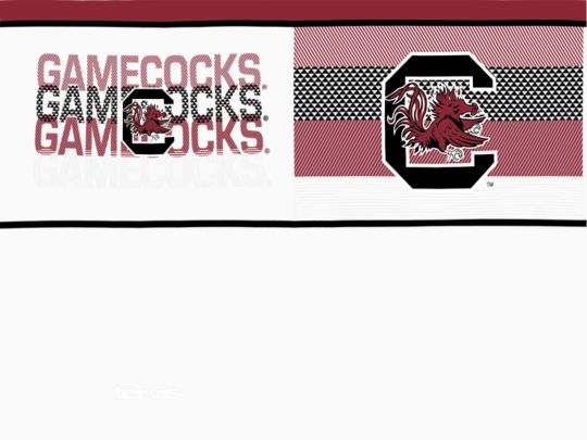 South Carolina Gamecocks - Competitor