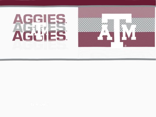 Texas A&M Aggies - Competitor