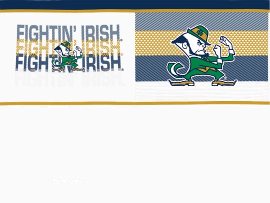 Notre Dame Fighting Irish - Competitor