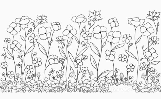 Clover and Poppies