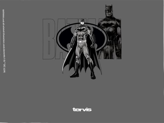 DC Comics - Batman - Dark Knight