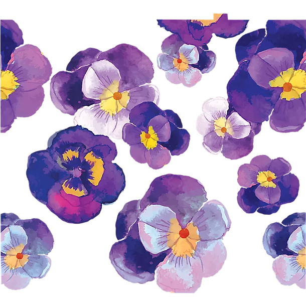 Watercolor Pansy