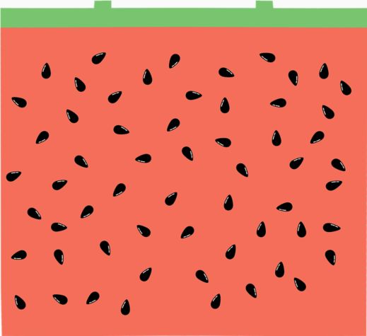 Watermelon Treat