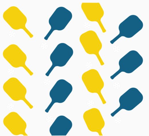 Pickleball - Paddle Pattern