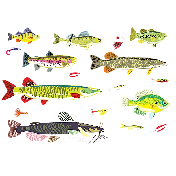 Freshwater Fish and Lures