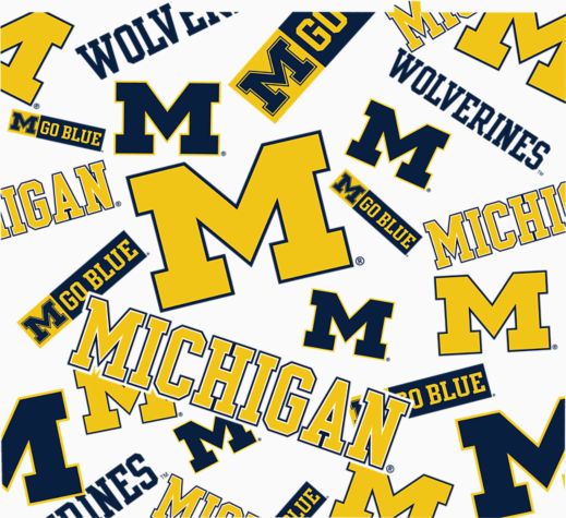 Michigan Wolverines - All Over