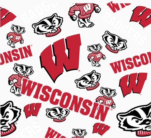 Wisconsin Badgers - All Over