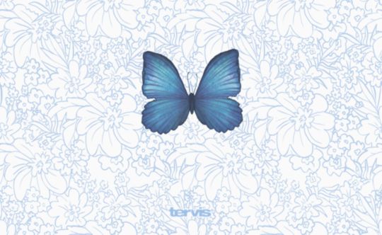 Lapis Butterfly