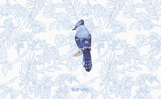 Bluest Jay
