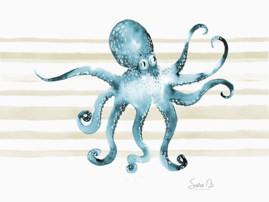 Sara Berrenson - Blue Flash Octopus