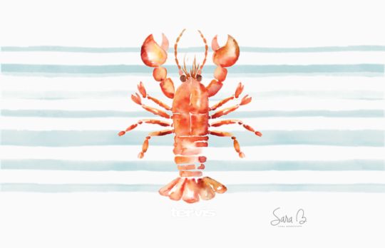 Sara Berrenson - Maine Lobster