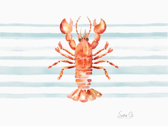 Sara Berrenson - Maine Lobster