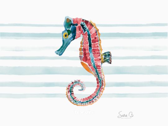 Sara Berrenson - Rainbow Seahorse
