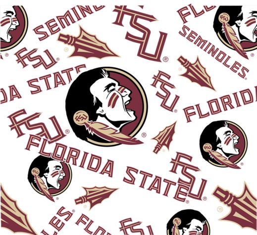 Florida State Seminoles - All Over