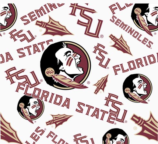 Florida State Seminoles - All Over