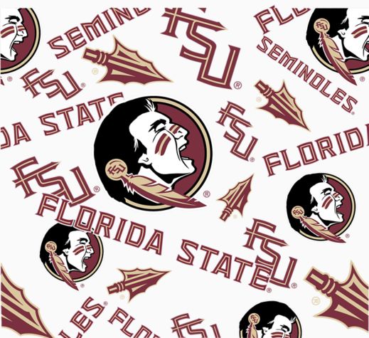 Florida State Seminoles - All Over