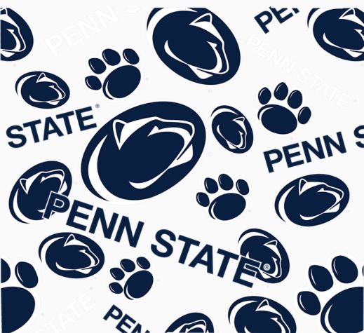 Penn State Nittany Lions - All Over