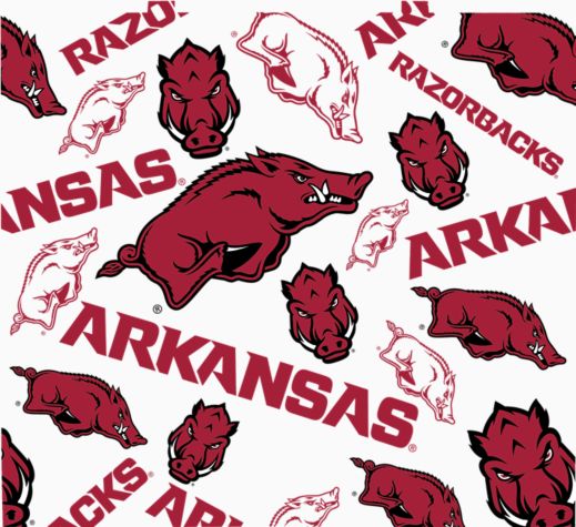 Arkansas Razorbacks - All Over