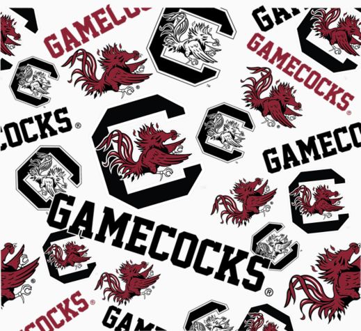 South Carolina Gamecocks - All Over