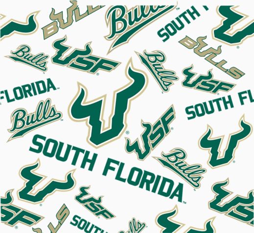 USF Bulls - All Over