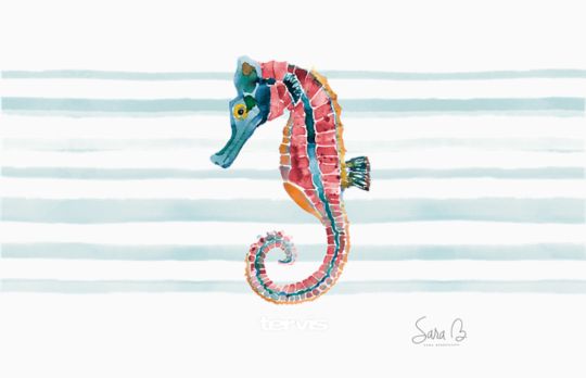 Sara Berrenson - Rainbow Seahorse