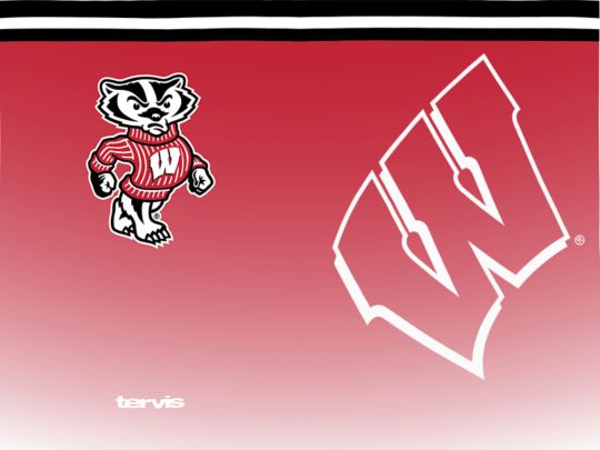 Wisconsin Badgers - Forever Fan