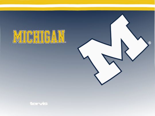 Michigan Wolverines - Forever Fan