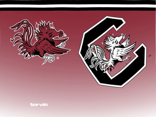 South Carolina Gamecocks - Forever Fan