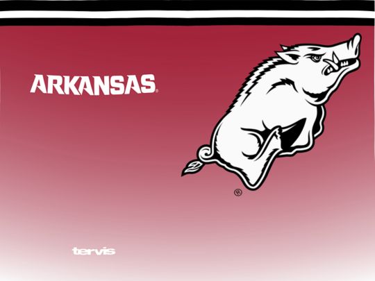 Arkansas Razorbacks - Forever Fan