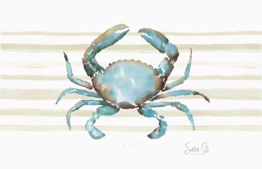 Sara Berrenson - Atlantic Crab