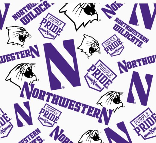 Northwestern Wildcats - All Over