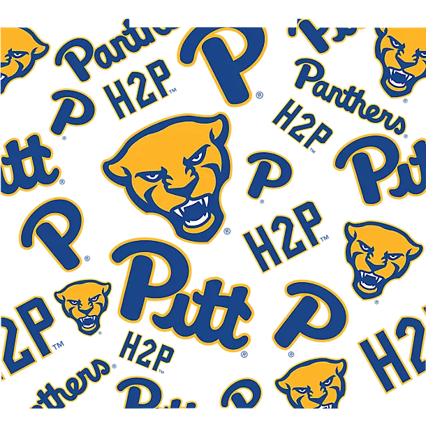 Pittsburgh Panthers - All Over