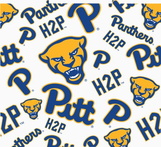 Pittsburgh Panthers - All Over