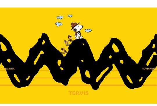 Peanuts™ Beagle Scouts Zig Zag 20 oz Stainless Tumbler Tervis