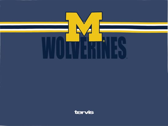 Michigan Wolverines - Go the Distance