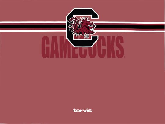 thumbnail image 2 of Tervis South Carolina Gamecocks 24oz. First String Classic Tumbler 2 of 14