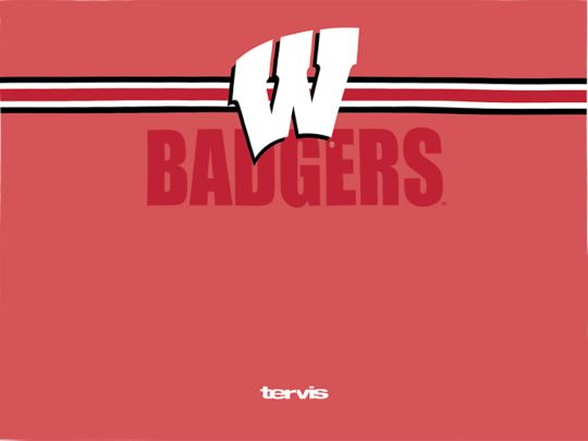 Wisconsin Badgers - Go the Distance