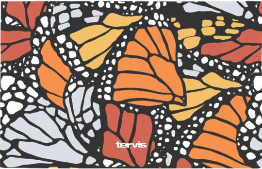 Monarch Butterfly Transformation