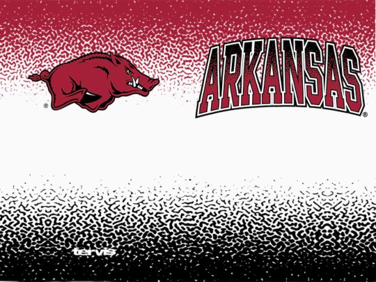 Arkansas Razorbacks - Defend