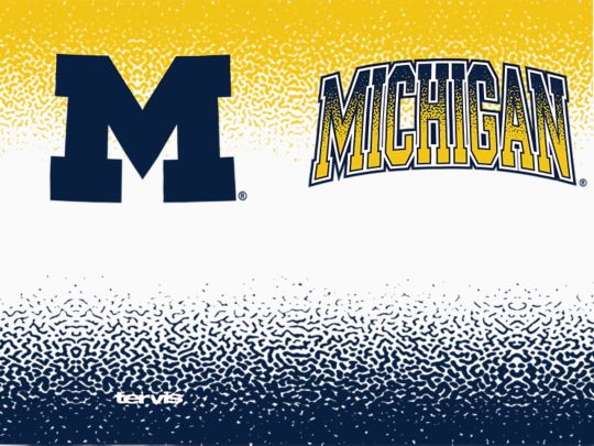 Michigan Wolverines - Defend