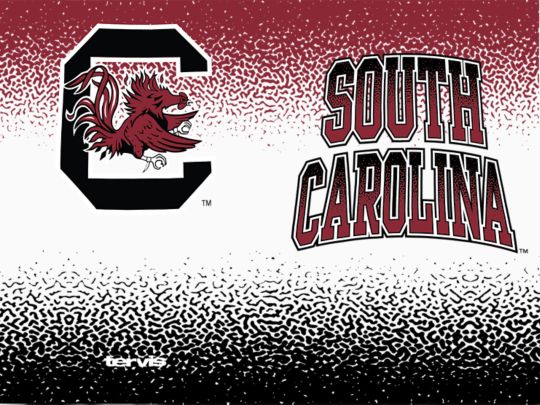 South Carolina Gamecocks - Defend