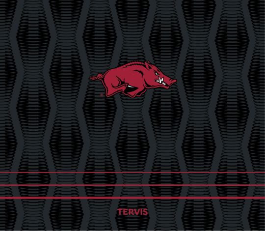 Arkansas Razorbacks - Full Speed